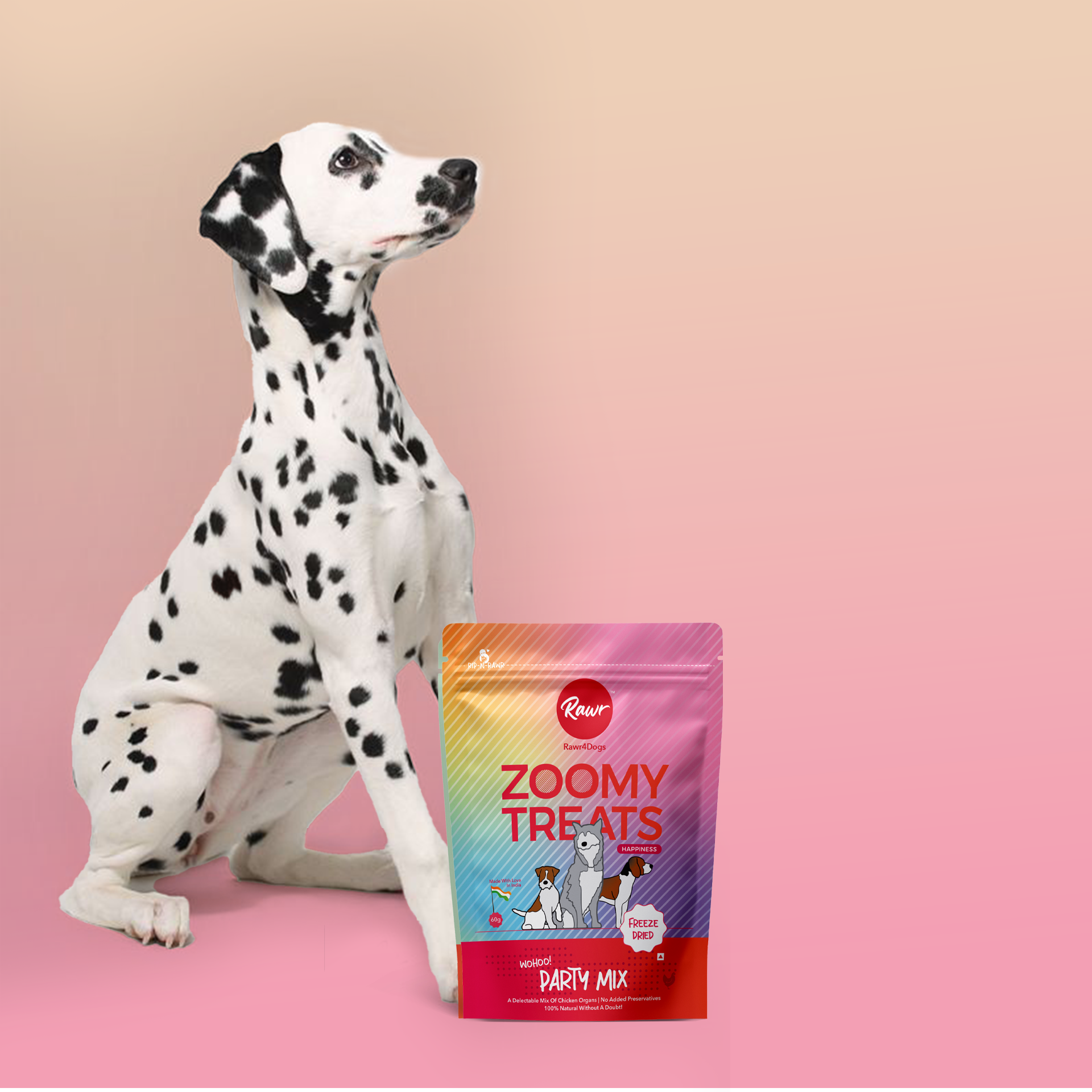 Rawr4Dogs | Zoomy Treats | Freeze-Dried Party Mix | 60 GMS