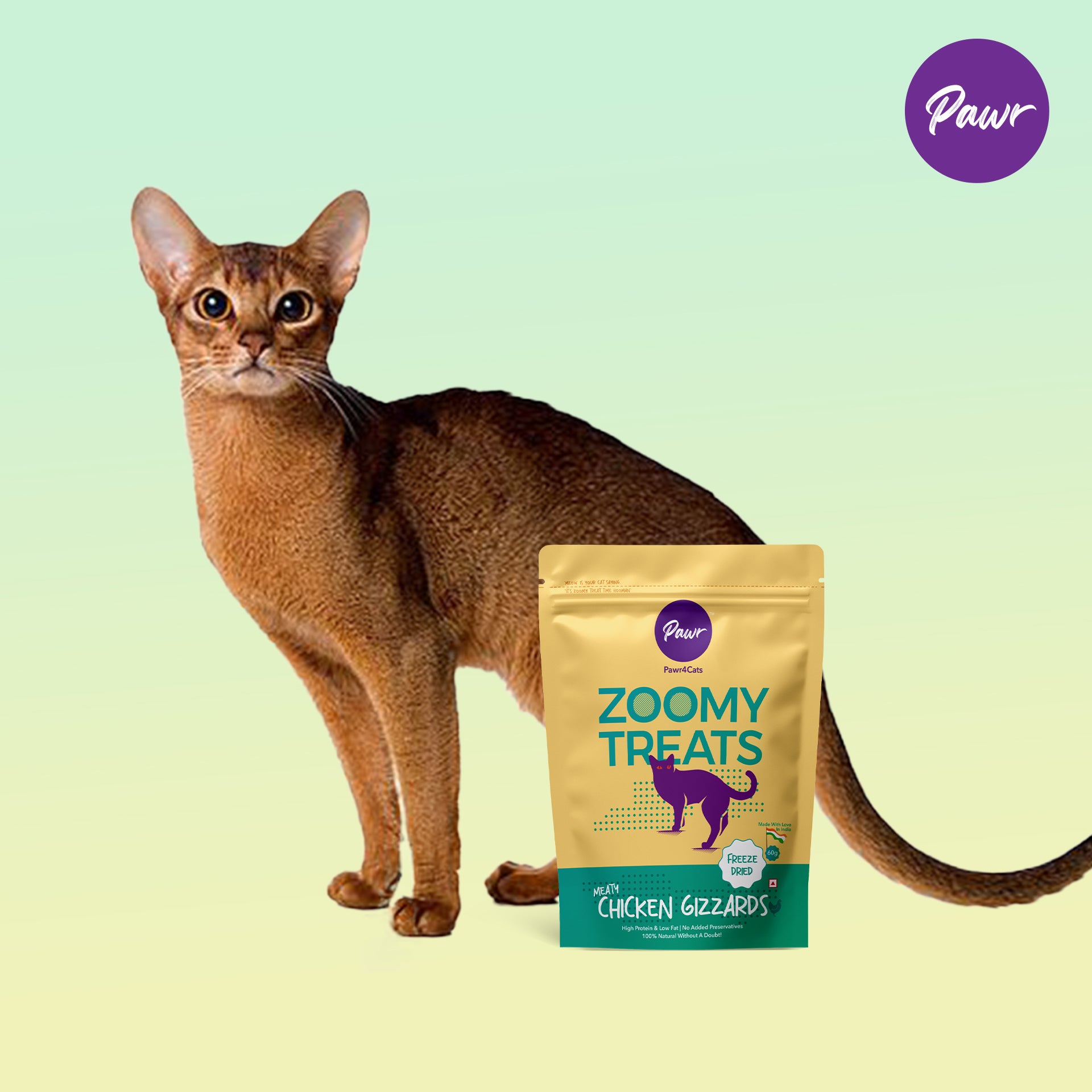 Pawr4Cats | Zoomy Treats | Freeze-Dried Chicken Gizzards | 60 GMS