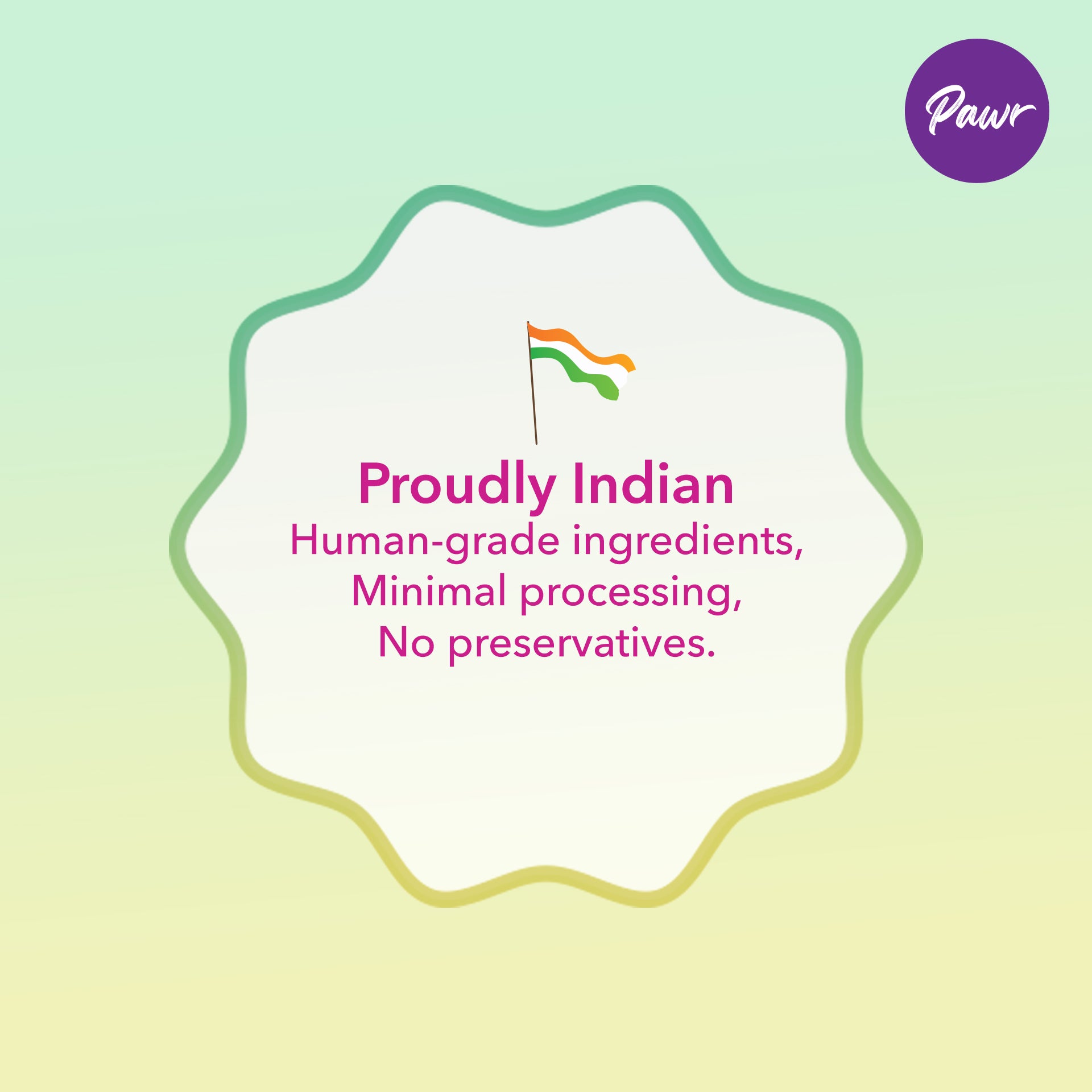 Pawr4Cats | Zoomy Treats | Freeze-Dried Chicken Gizzards | 60 GMS