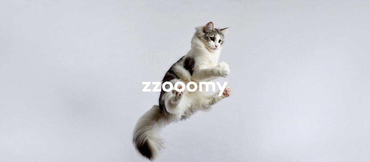 Pawr4Cats Zoomy Treats