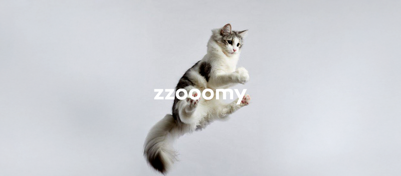 Pawr4Cats Zoomy Treats
