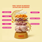 FurFly Cat | Chicken in Bone Broth - Cat Wet Food Pouches | 80Gms