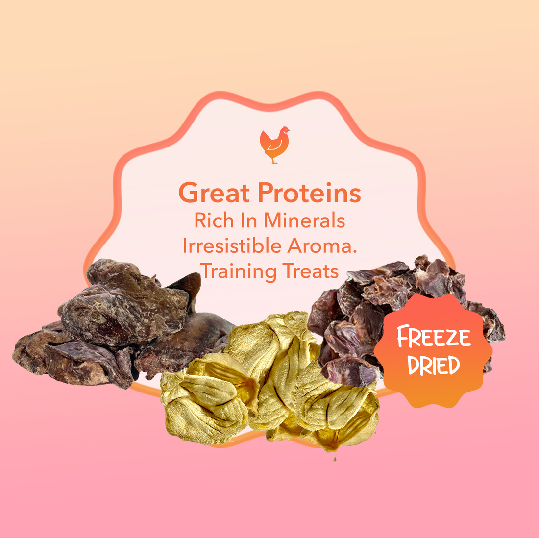 Rawr4Dogs | Zoomy Treats | Freeze-Dried Party Mix | 60 GMS