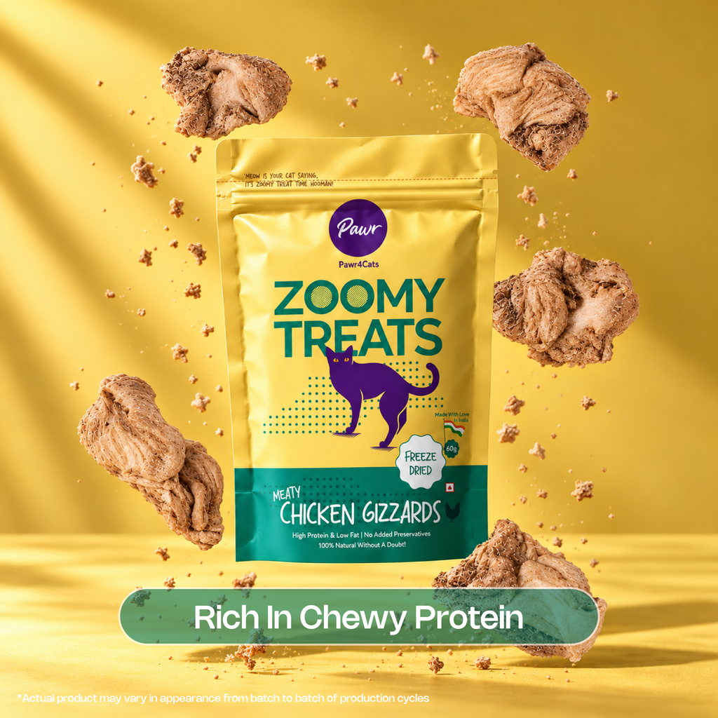 Pawr4Cats | Zoomy Treats | Freeze-Dried Chicken Gizzards | 45 GMS