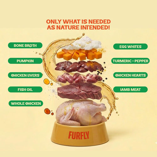 FurFly Cats | Chicken + Lamb in Bone Broth Cat Wet Food - 80g
