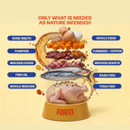 FurFly Cats | Chicken + Tuna in Bone Broth Cat Wet Food | 80 gms