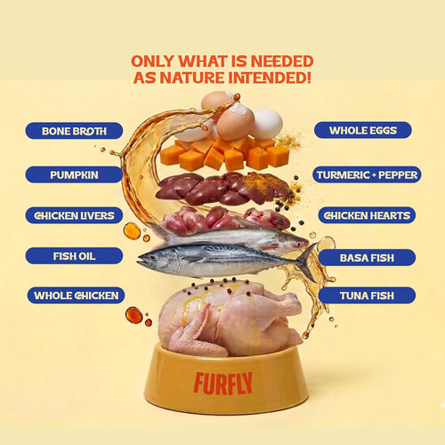 FurFly Cats | Chicken + Tuna in Bone Broth Cat Wet Food | 80 gms