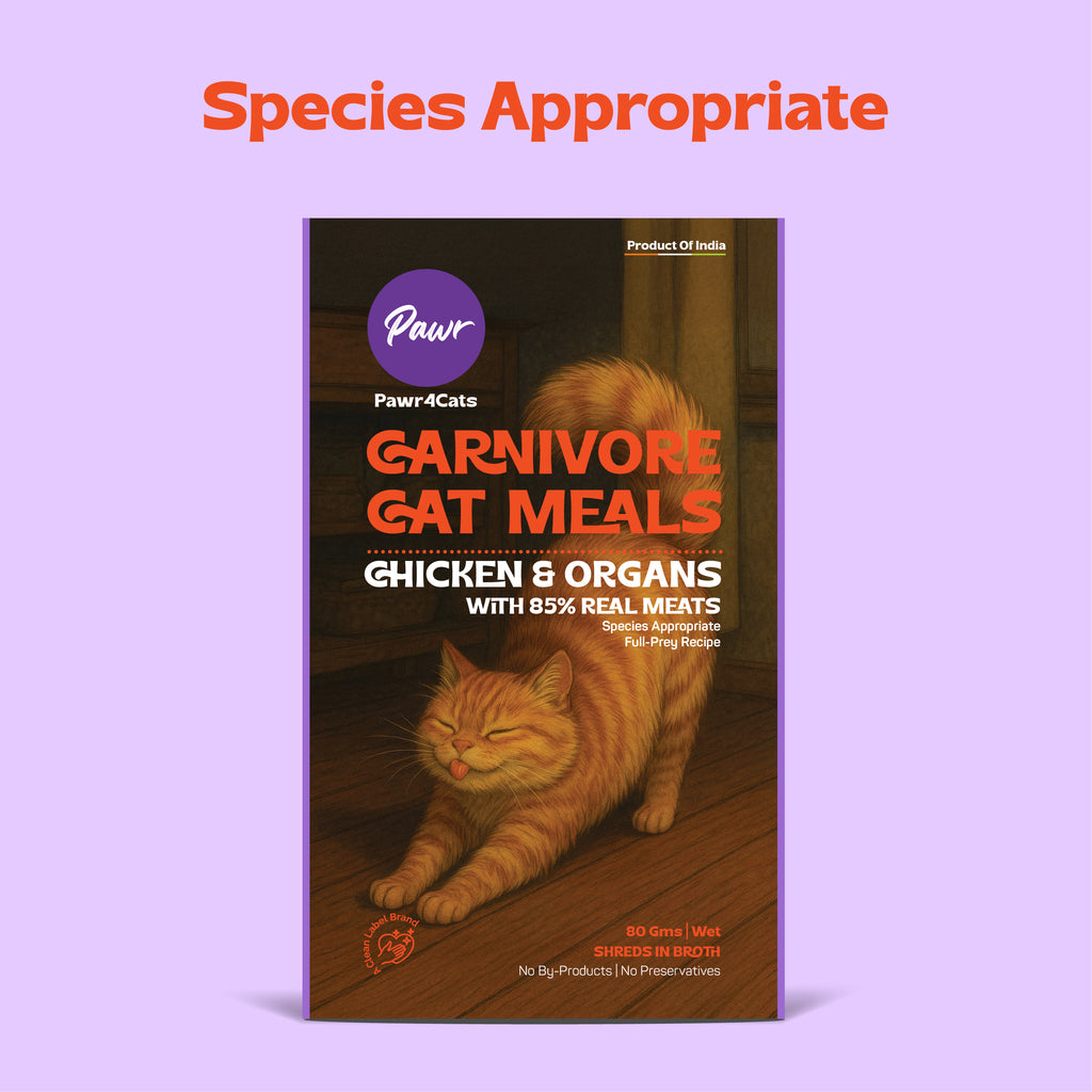 Pawr4Cats | FreshMeals | 2 Recipe Trial Pack | Pack of 4 (2 Each)