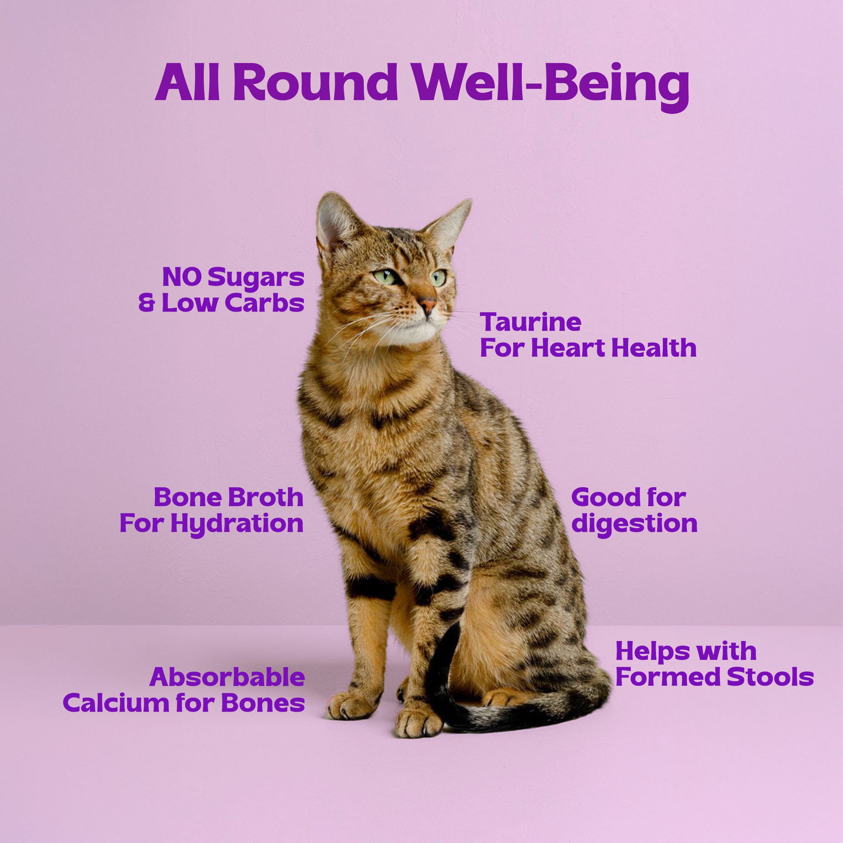 Pawr4Cats | FreshMeals | Chicken, Lamb & Veggies