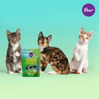 Pawr4Cats | Zoomy Treats | Freeze-Dried Party Mix | 45 GMS