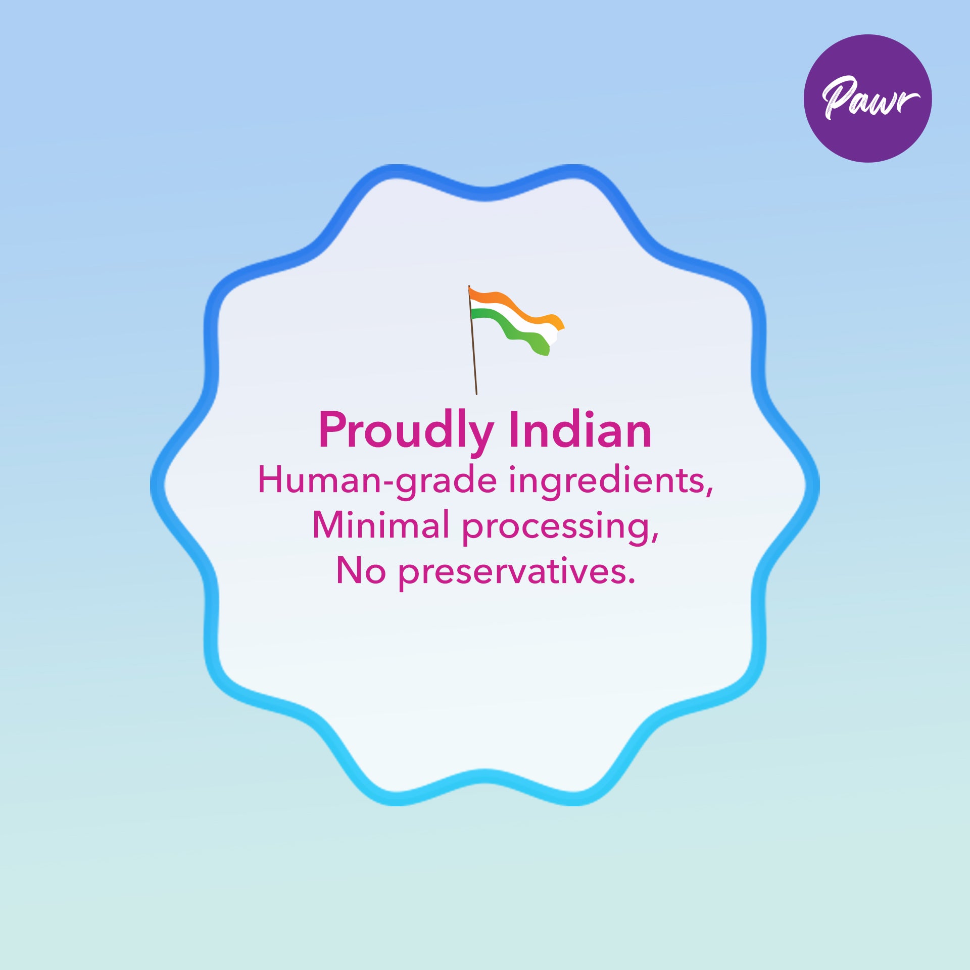 Pawr4Cats | Zoomy Treats | Sun-Dried Golden Anchovy Fish | 60 GMS