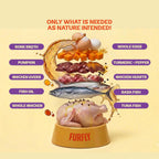 FurFly Cats | Tuna + Chicken in Bone Broth Cat Wet Food Persian Special | 80gms