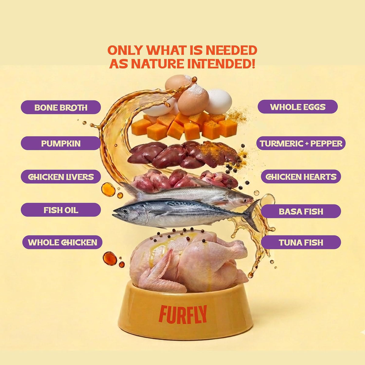 FurFly Cats | Tuna + Chicken in Bone Broth Cat Wet Food Persian Special | 80gms